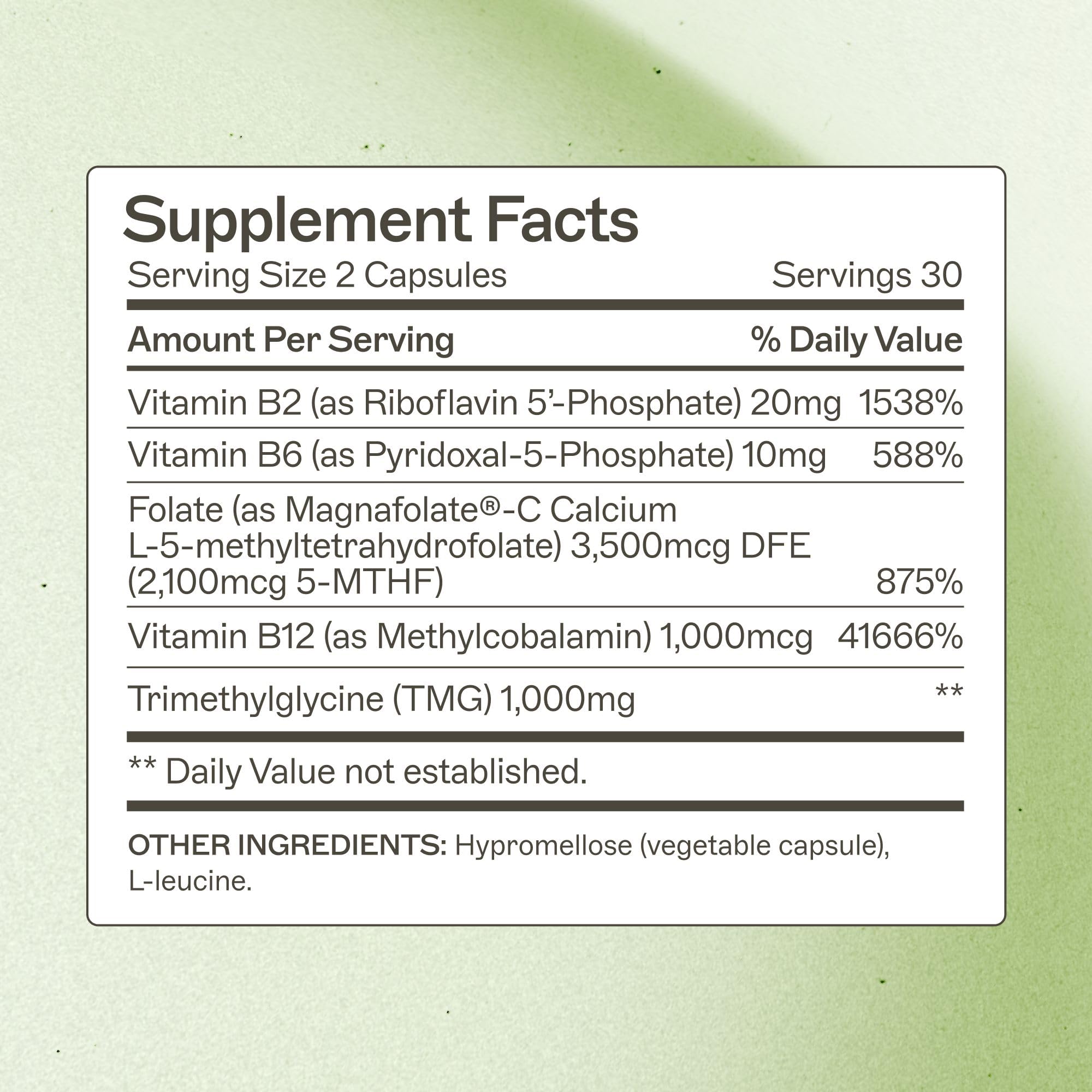 Methylation Support
