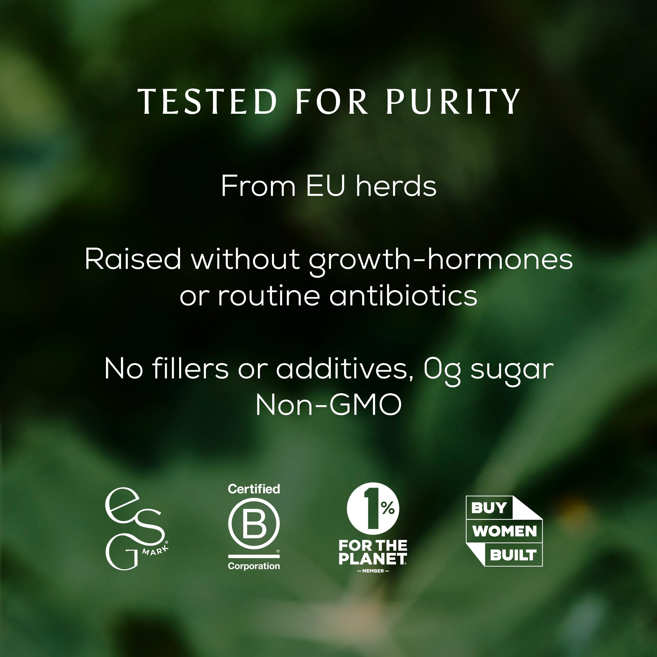 True Collagen Powder